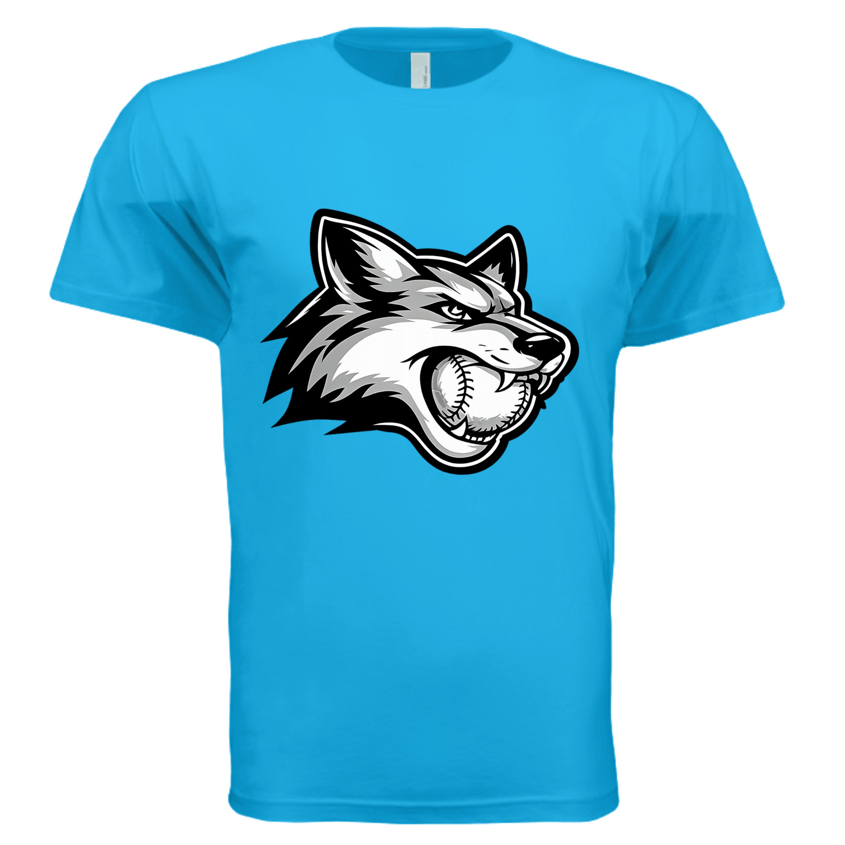 TURQUOISE - 3600 - FRONT
